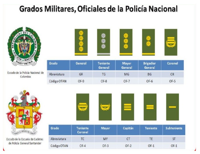 Grados Oficiales | PDF