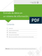 Entrada de Datos en Un Sistema de Información: Contenido