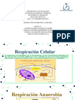 Respiracción Celular