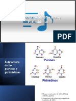 Metabolismo de Purinas y Pirimidinas