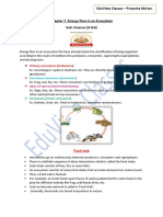 Chapter 7. Energy Flow in An Ecosystem (Final)