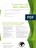 Derechos Colectivos y Del Medio Ambiente