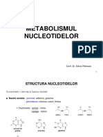Curs 7 Biochimie II - Nucleotide