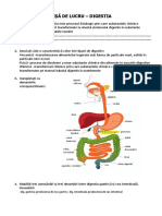 Digestia Hagiu Teodora