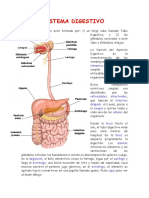 El Aparato Digestivo Fisiologia-Lucho