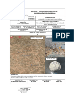 Ficha Puntos Geodesicos