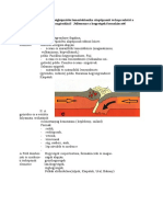 Hegységképződés Tétel Együtt - ÁTDOLGOZVA