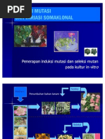 Download Induksi Mutasi Dan Variasi Somaklonal by Fachri Sani Haris SN58130841 doc pdf