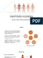 Anatomía Humana