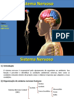 SNC Sistema Nervoso Central