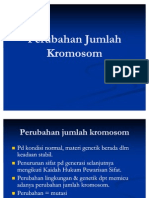 Perubahan Jumlah Kromosom Polyploidisasi