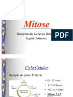 Mitose