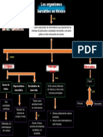 Mapa Coneptual de Organismos en Mexico