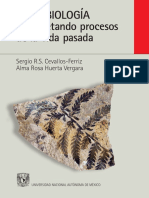 Paleobiologia Interpretando Procesos PP