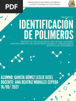 Practica 1 Quimica de Polimeros