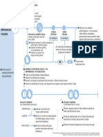 24smNqc8A - S8QPlv - V8UNlhD0MZOXzn0j Esquema de Atención para Abordar Las Deficiencias Visuales