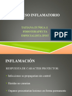 Proceso Inflamación