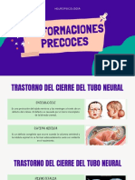 Participación Activa - Neuropsicología - Semana02