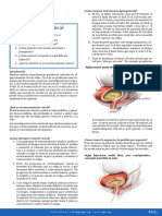 Bladder Training Spanish