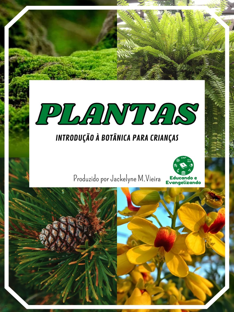 PLANTAS - Introducao A Botanica para Crianças | PDF | Semente | Flores