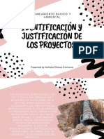 Identificación y Justificación de Los Proyectos