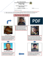 The Human Life Cycle: Kobe B. Binamira Grade 4 - St. Clare