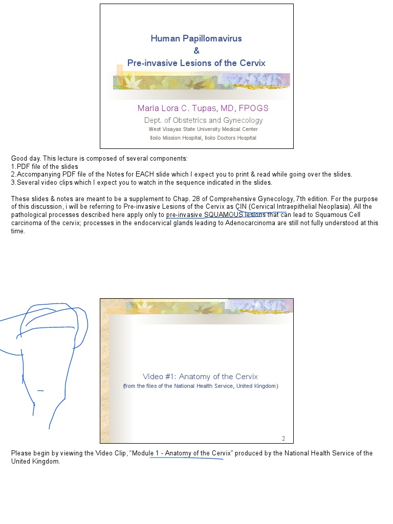 Pre-Invasive Lesions of The Cervix 2020 | PDF | Cervical Cancer ...