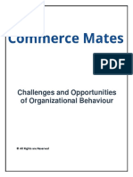 Challenges and Opportunities of Organisational Behaviour