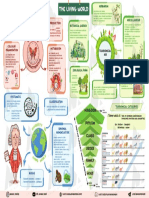 The Living World: Kingdom Phylum Class Order Family