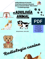 Radiologia Animal