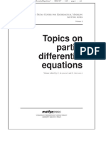 Topics On Partial Differential Equations