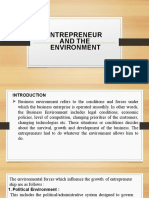 Entrepreneur and The Environment 6