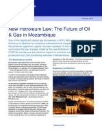 New Petroleum Law The Future of Oil Gas in Mozambique