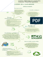 Infografía Huella de Carbono