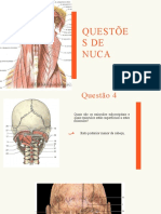 Estudo Dirigido - Nuca