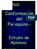 Conformación Del Pie Equino