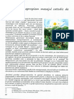 12 intrebari pe care trebuie sa ni le punem_Cum sa apropiem mesajul catodic de cel religios