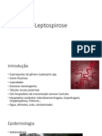 Leptospirose