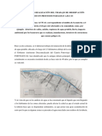 Observacion Problematica