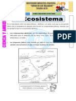 Sesion 03. Ecosistema