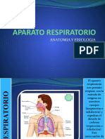 Aparato Respiratorio Power Point