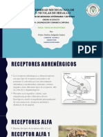 Tipos de Receptores