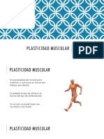 Plasticidad Muscular