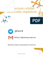 2-Estructura Celular