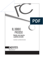 El Debido Proceso. Estudios Sobre Derechos y Garantías Procesales