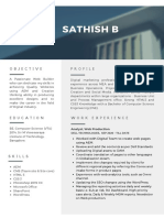 Sathish B: Objective Profile