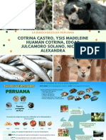 Infografía Diversidad Perú
