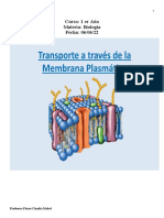 11transporte A Traves de La Membrana Plasmatica