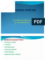 K-33 Endocrine System, FK Usu, Rev