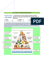 Food Pyramid Word